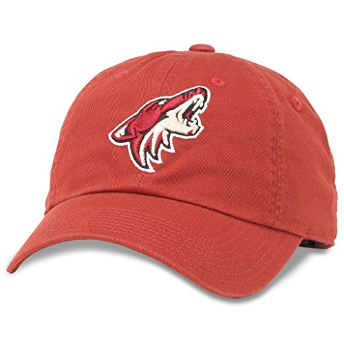 AMERICAN NEEDLE Unisex Blue Line NHL National Hockey League Team Baseball Hat Adjustable Buckle Strap Dad Cap