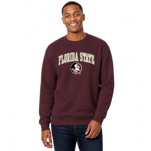 Campus Colors Arch & Logo Gameday Crewneck