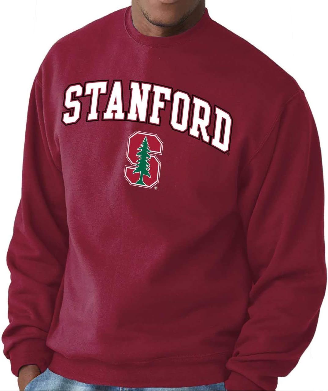 Campus Colors Adult Arch & Logo Soft Style Gameday Crewneck Sweatshirt