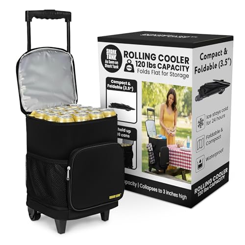 Best Collapsible Coolers for Picnic and Park Days (2026)