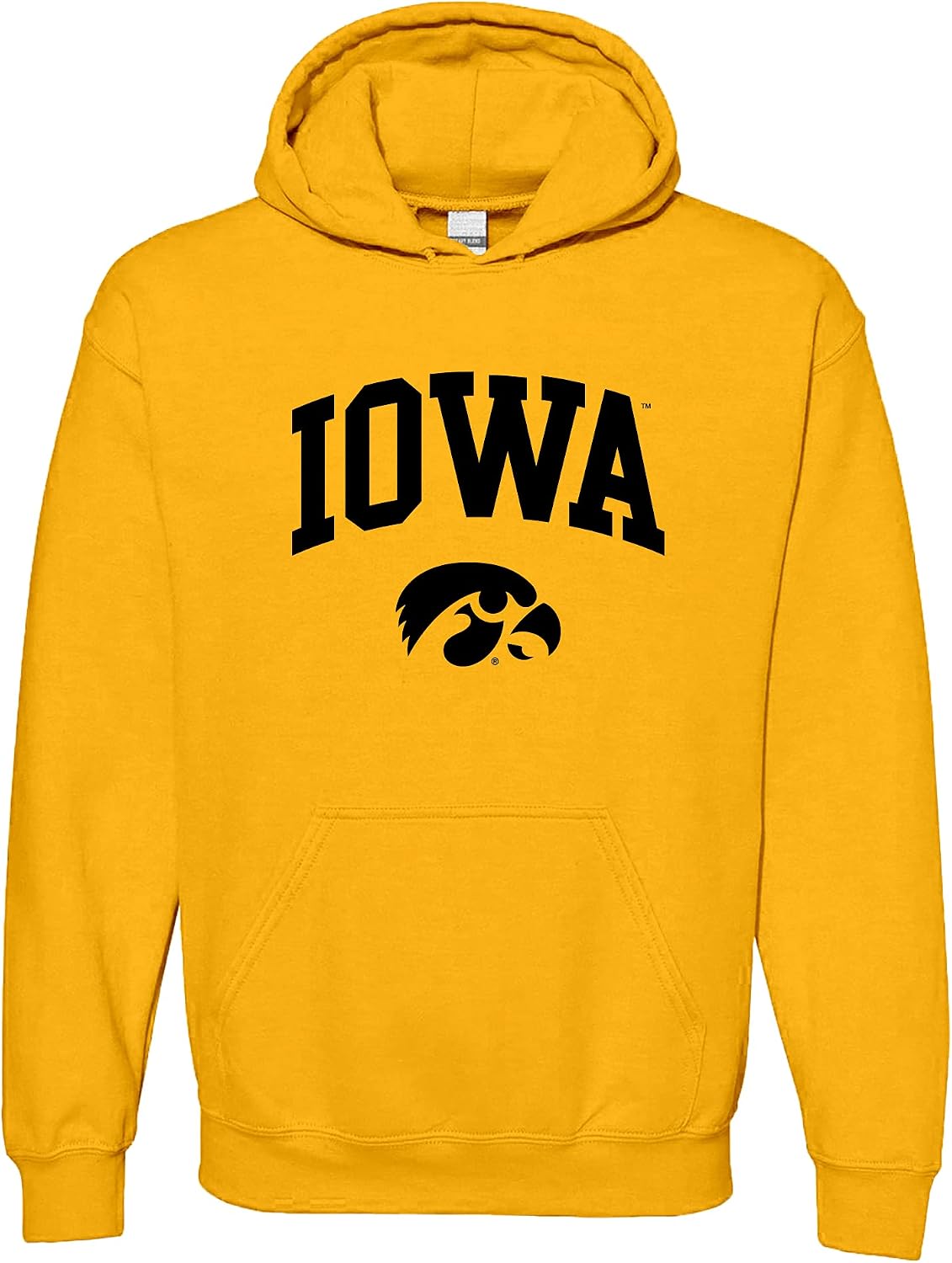 UGP Campus Apparel Team Arch Hoodie