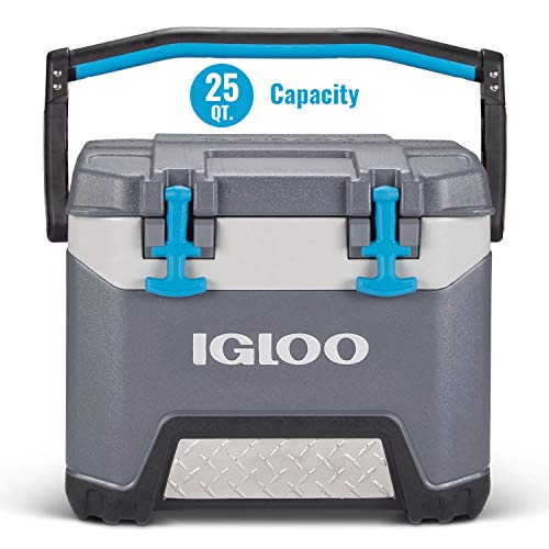 Best Insulated Coolers for Backyard BBQs (2026)