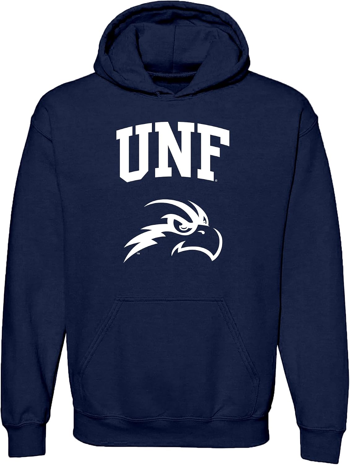 UGP Campus Apparel NCAA Officially licensed College - University Team Color Arch Logo Hoodie