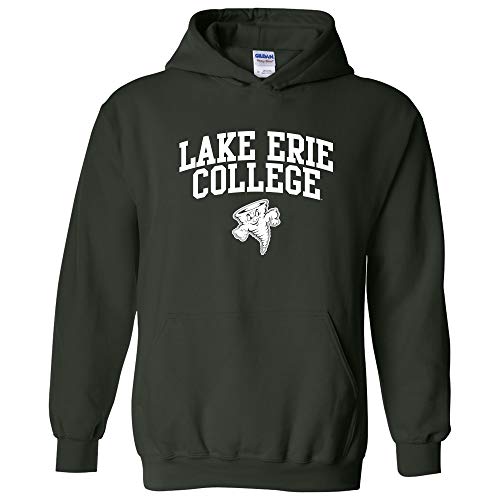 UGP Campus Apparel NCAA Officially licensed College - University Team Color Arch Logo Hoodie