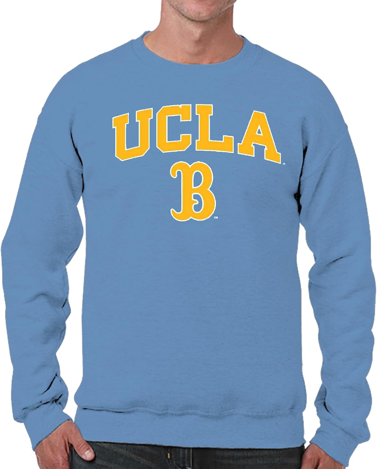 Campus Colors Adult Arch & Logo Soft Style Gameday Crewneck Sweatshirt
