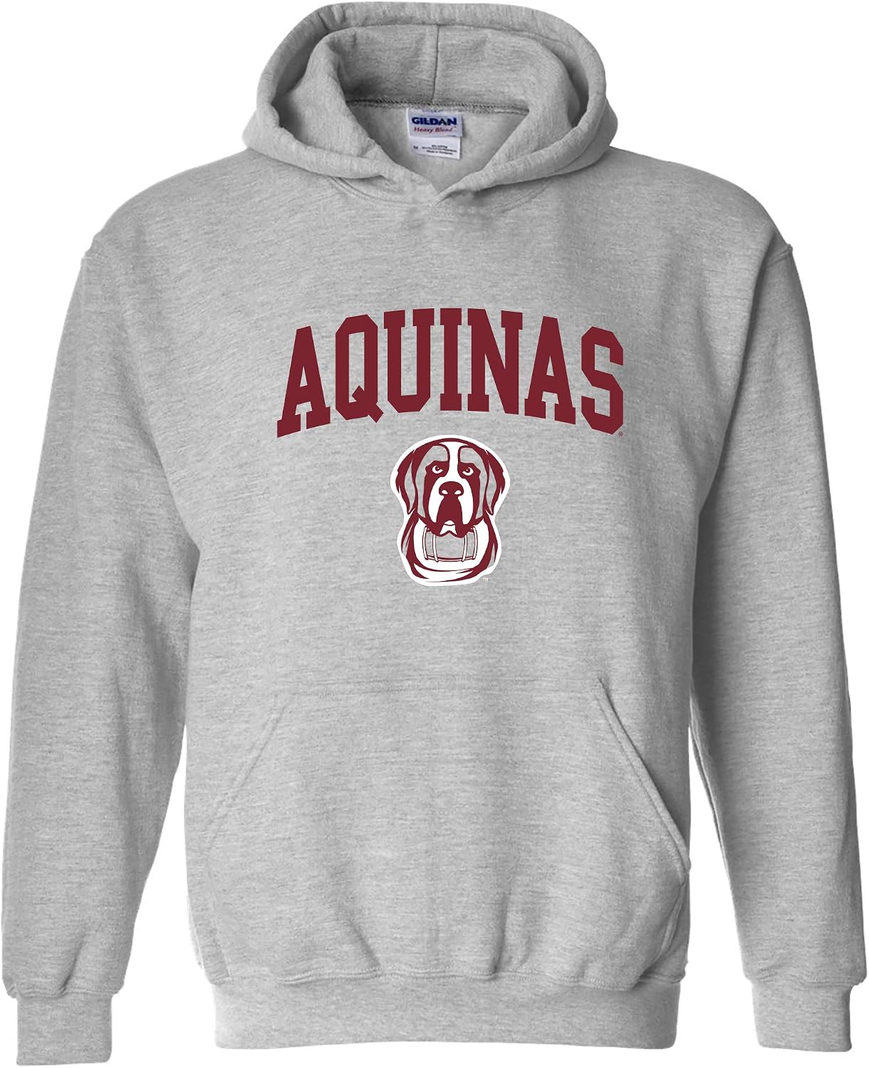 UGP Campus Apparel NCAA Officially licensed College - University Team Color Arch Logo Hoodie