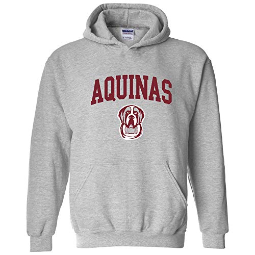 UGP Campus Apparel NCAA Officially licensed College - University Team Color Arch Logo Hoodie