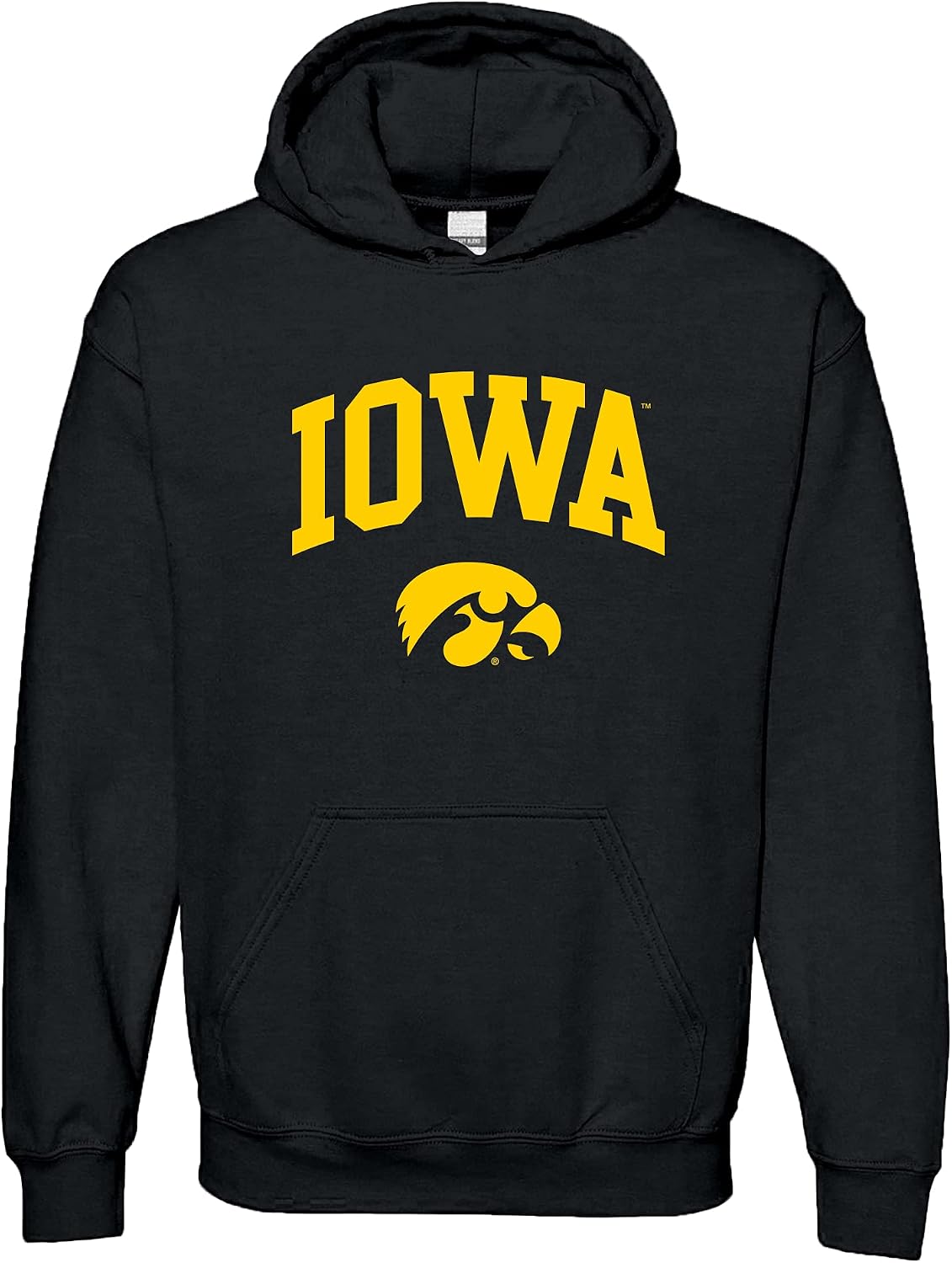 UGP Campus Apparel Team Arch Hoodie