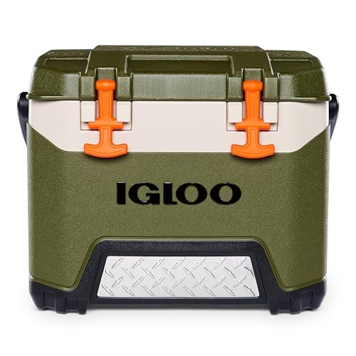 Igloo BMX (Budget Pick)