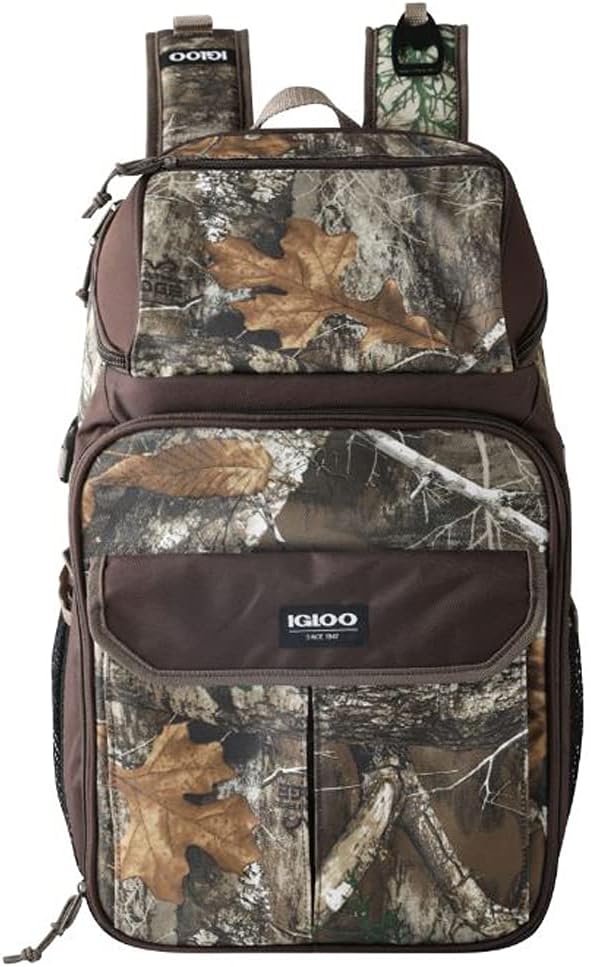 Igloo Backpack Cooler (Budget)