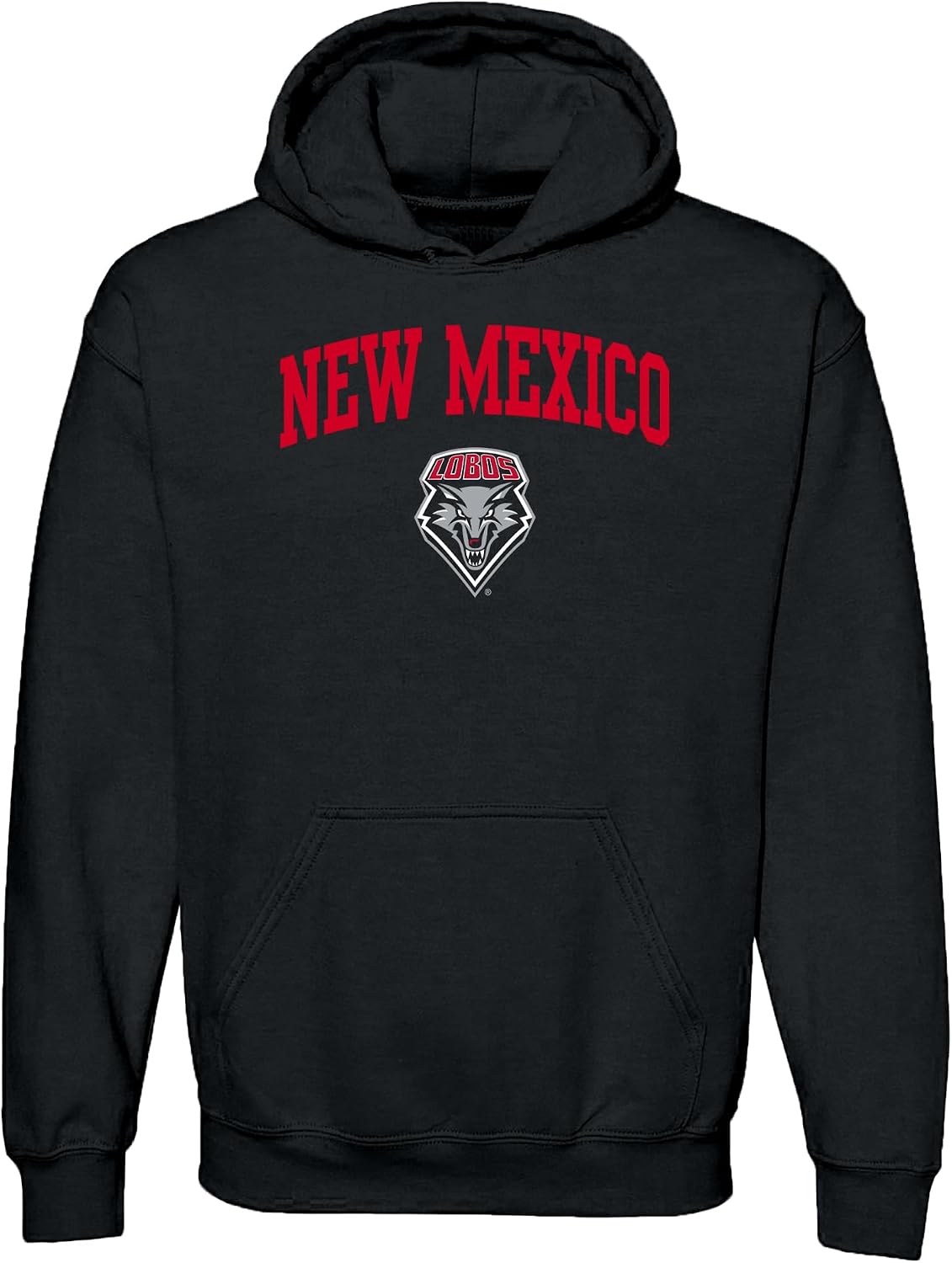 UGP Campus Apparel NCAA Officially licensed College - University Team Color Arch Logo Hoodie