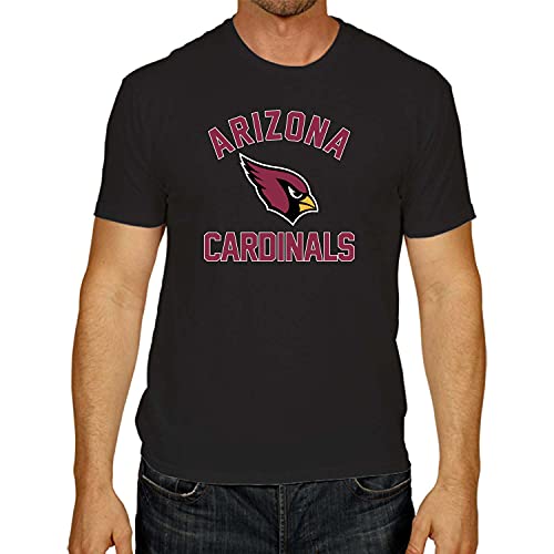 Team Fan Apparel NFL Adult Gameday T-Shirt - Cotton Blend