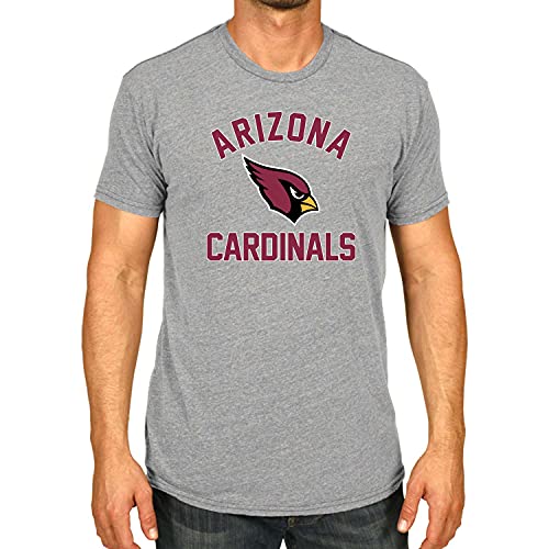Team Fan Apparel NFL Adult Gameday T-Shirt - Cotton Blend - Tagless - Semi-Fitted - Unleash Your Team Spirit During Game Day