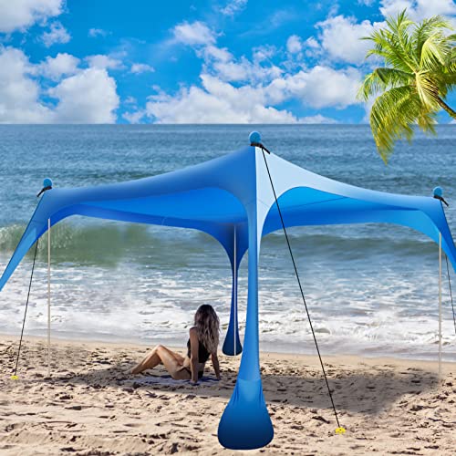 Buheco 10x10ft Canopy
