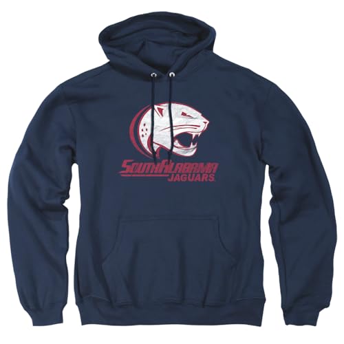 LOGOVISION Official Collegiate Distressed Primary Logo Adult Pullover Hoodie Collection