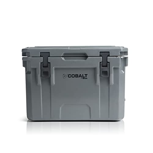 Blue Coolers Cobalt 25 Quart (Alt)