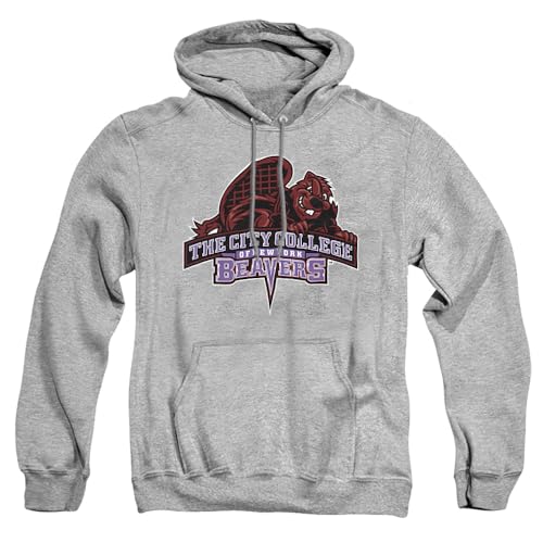 LOGOVISION Official Collegiate Distressed Primary Logo Adult Pullover Hoodie Collection