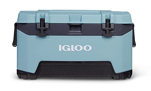 Best Coolers Under $100 (2026 Budget Guide for Spring Picnics)