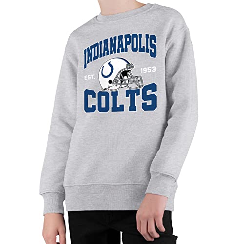Junk Food Clothing x NFL Kids Crewneck (Top Pick)