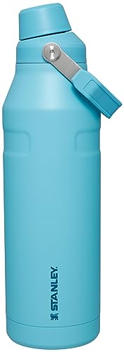Stanley IceFlow Fast Flow Water Bottle | Angled Spout Lid | Lightweight & Leakproof for Travel & Sports | Insulated Stainless Steel | BPA-Free