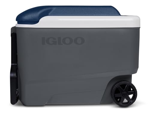 Igloo Coolers Maxcold Series, Insulated Portable Cooler, Hard Coolers, Leak-Proof Ice Chest, 5 Day Ice Retention