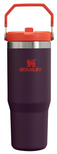 Stanley IceFlow Flip Straw Tumbler with Handle 30 oz | Twist On Lid and Flip Up Straw | Leak Resistant Water Bottle | Insulated Stainless Steel |BPA-Free | Plum