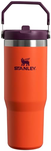 STANLEY IceFlow 30 oz (Budget)