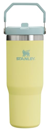 Stanley IceFlow Flip Straw Tumbler with Handle | Twist On Lid and Flip Up Straw | Leak Resistant Water Bottle | Insulated Stainless Steel | BPA-Free