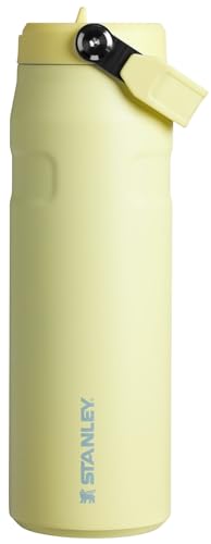 Stanley IceFlow Flip Straw 2.0 24 OZ (Pomelo)
