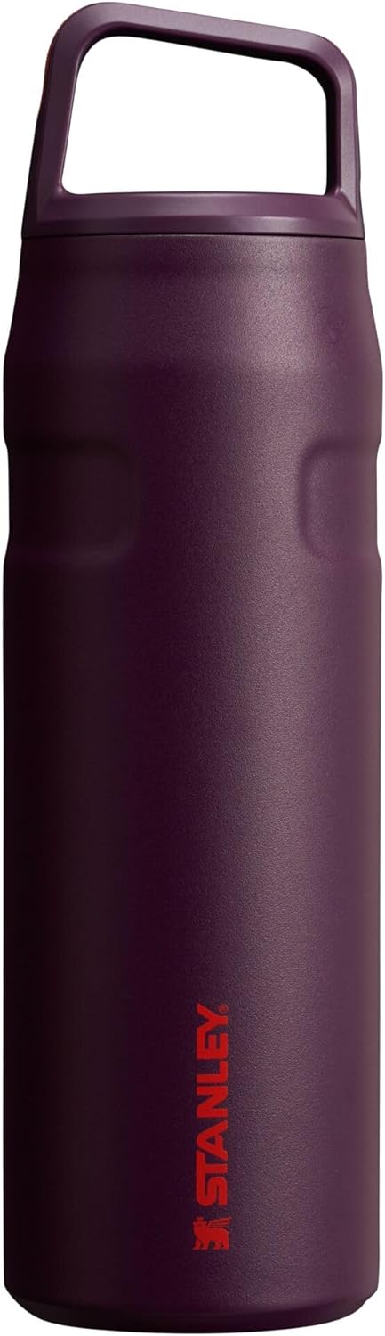 Stanley IceFlow Cap and Carry (16 oz)