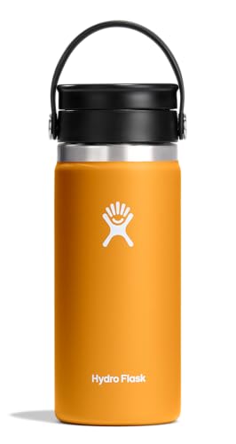 Hydro Flask 16 oz Flex Sip (Fossil Brown)