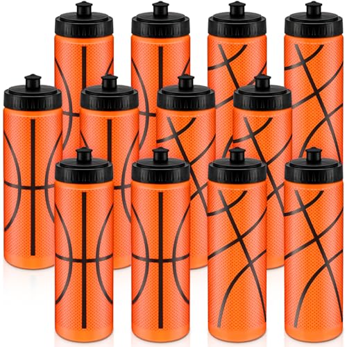 Skybooly 20 oz (24pc)