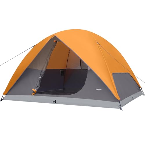 Amazon Basics 10x10 Dome Tent