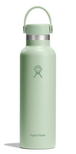Hydro Flask 21 oz Aloe