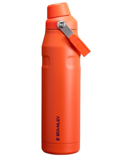 Stanley IceFlow Fast Flow Water Bottle | Angled Spout Lid | Lightweight & Leakproof for Travel & Sports | Insulated Stainless Steel | BPA-Free