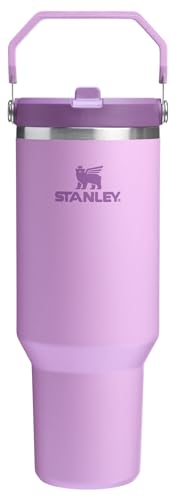 Stanley IceFlow 2.0 Flip Straw Tumbler with Handle 40 oz | Twist On Lid and Flip Up Straw | Leak Resistant Water Bottle | Insulated Stainless Steel | BPA-Free | Lilac