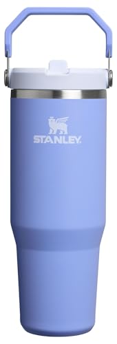 Stanley IceFlow 2.0 Flip Straw Tumbler with Handle 30 oz | Twist On Lid and Flip Up Straw | Leak Resistant Water Bottle | Insulated Stainless Steel | BPA-Free | Hydrangea