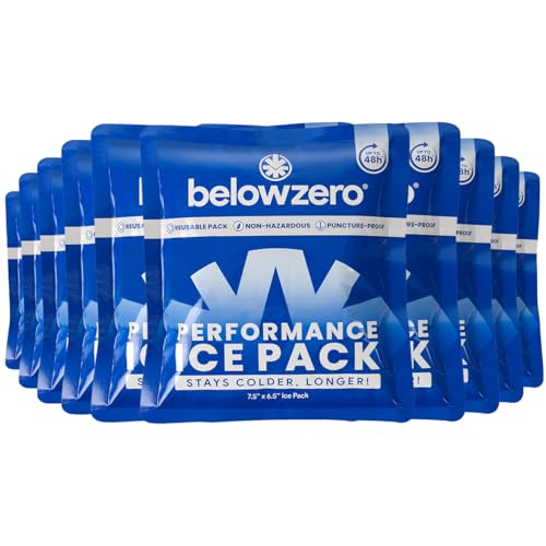 Below Zero Reusable Ice Packs