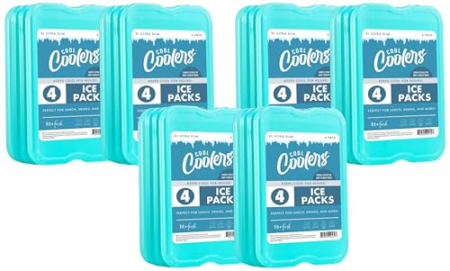 Cool Coolers by Fit + Fresh XL Slim Ice Packs