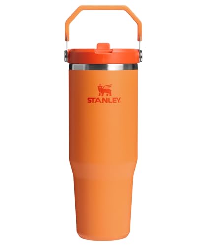 STANLEY IceFlow 2.0 30 oz (Alt Color)